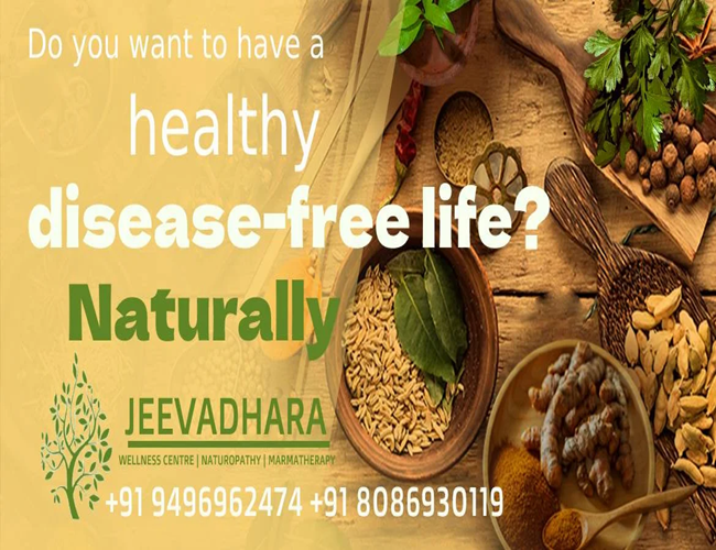 Jeevadhara Wellness Center Sreekrishnapuram