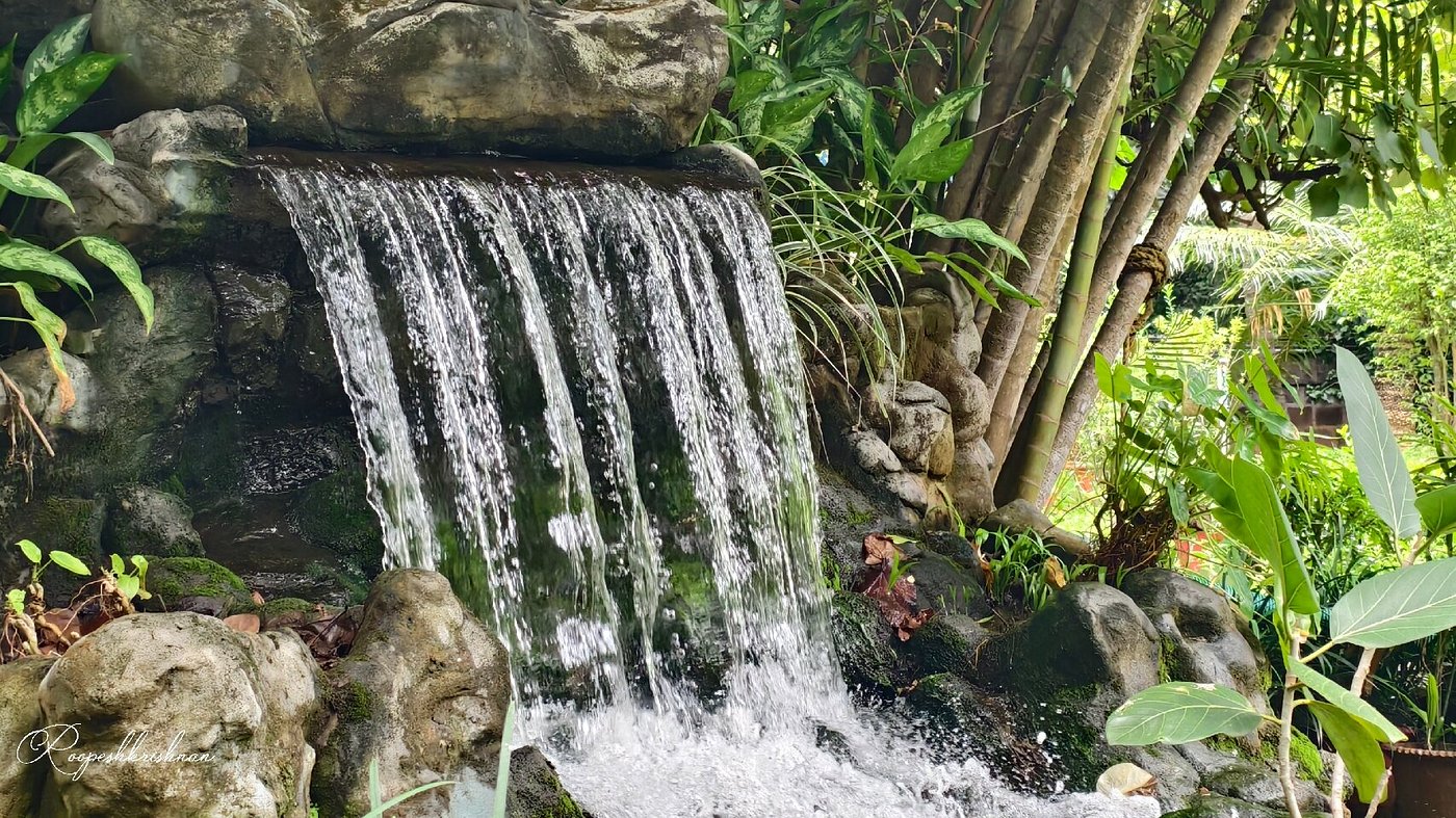 Fantasy Park, Palakkad attraction