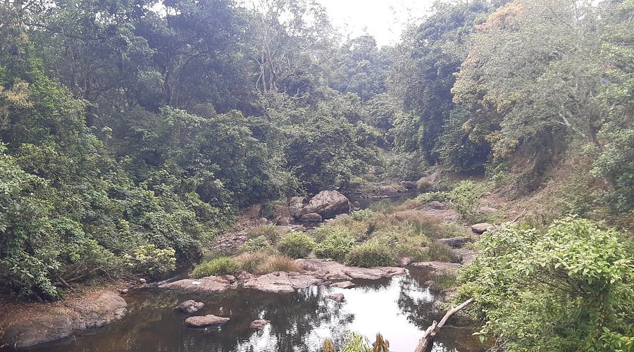 Hanging Bridge Nelliyampathy, Palakkad