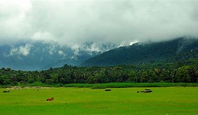kava, Palakkad Transpotation