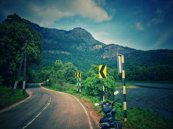 kava, Palakkad