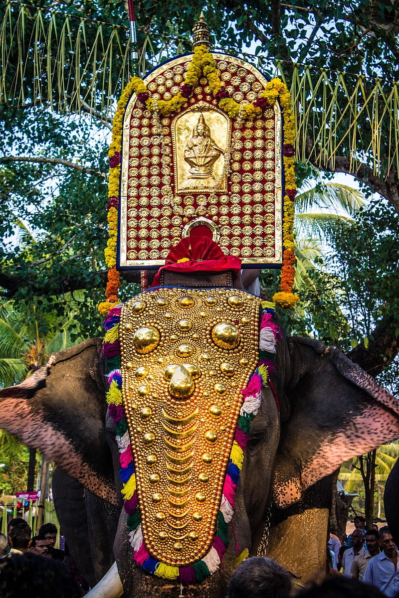 Mangalamkunnu Elephant Castle, Palakkad Transpotation