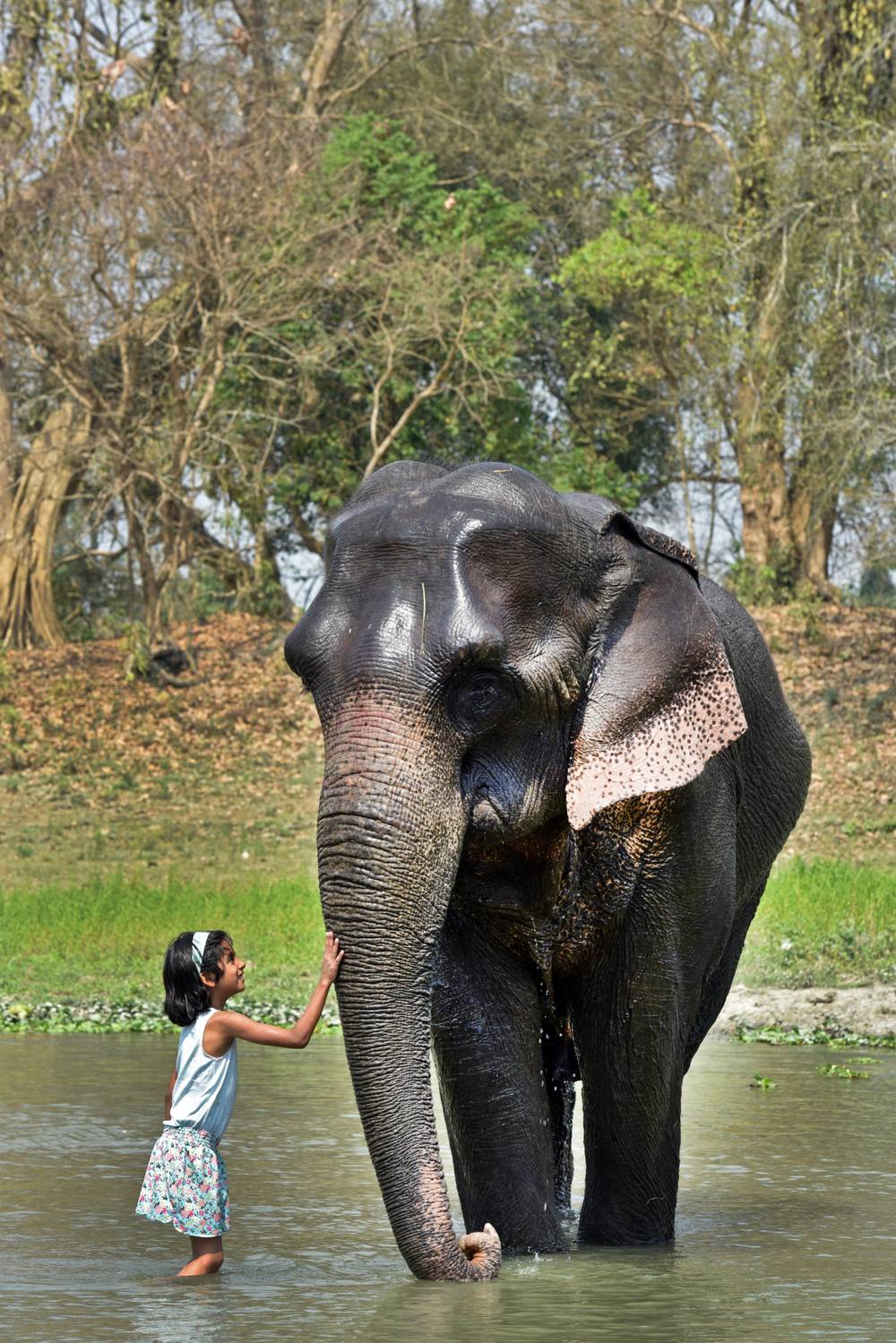 Mangalamkunnu Elephant Castle, Palakkad
