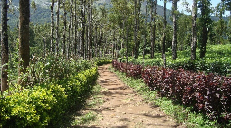 Seethargundu Viewpoint, Palakkad destination